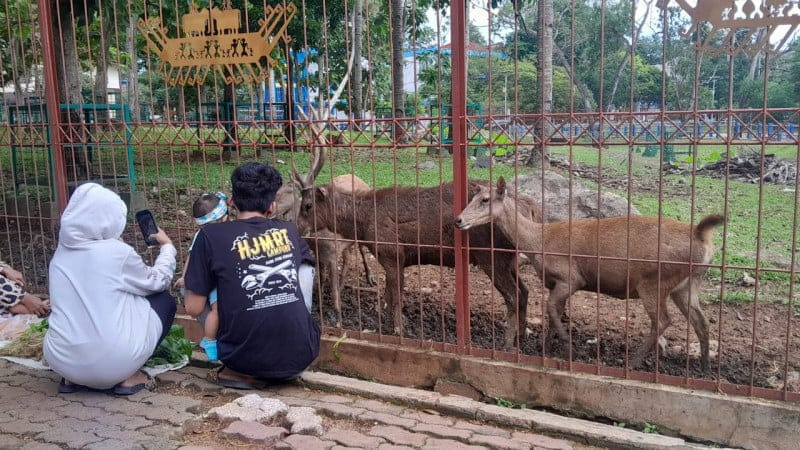 Hiburan Murah Meriah Bersama Sanak Keluarga di Taman Rusa Unila