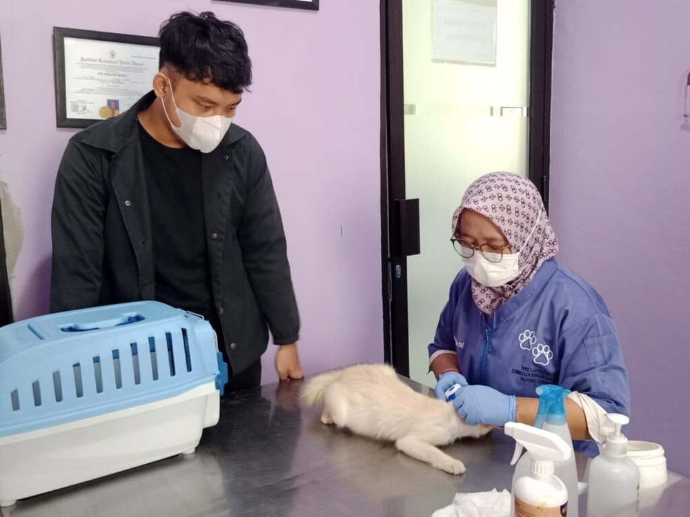 Layanan Berbayar UPTD BPK2LP Sumbang PAD Provinsi Lampung