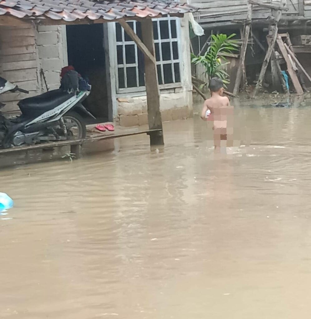 Sawah dan Puluhan Rumah di Pekon Ngambur Terendam Banjir